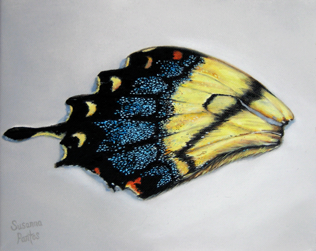 Contemplation: Memory of Tiger Swallowtail by Susanna Pantas